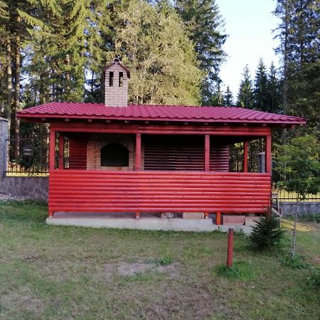 Casa De Vacanta Paraul Rece Exterior photo